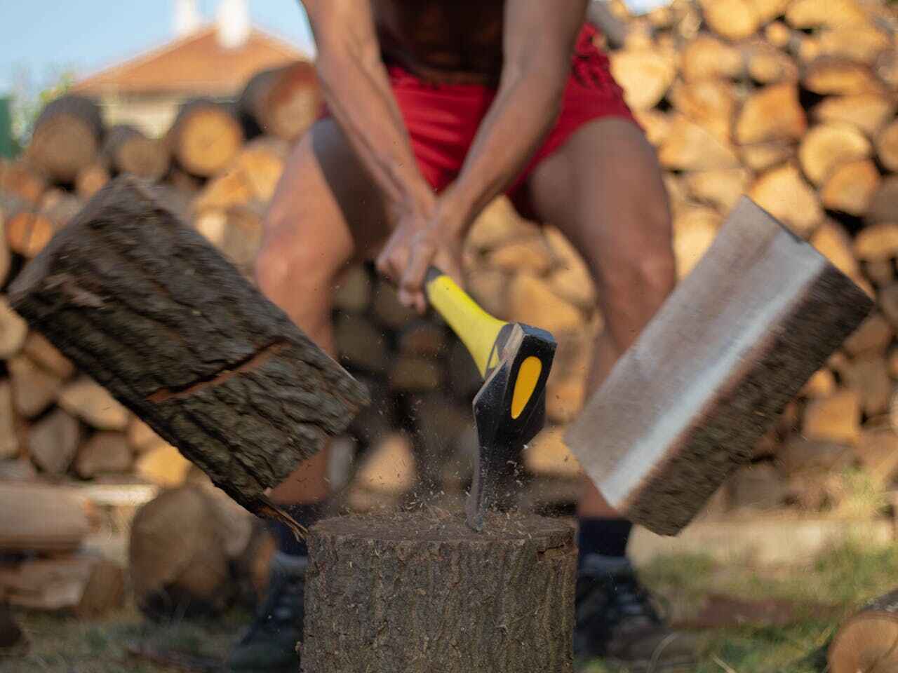 Large Tree Removal in Williamsport, PA